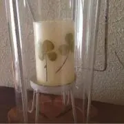 クローバーの画像