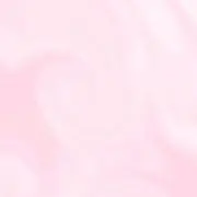 だぬの画像
