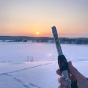 ビッキーの画像