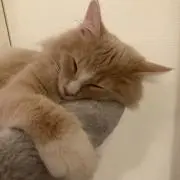 Hiro
