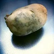 JAGABATAの画像