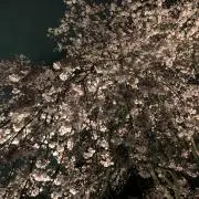 sky☆の画像