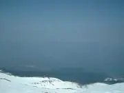 ヒロカリの画像