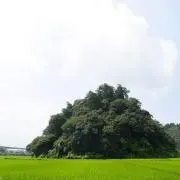 ここの画像