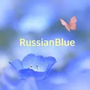 RussianBlue⭐︎の画像