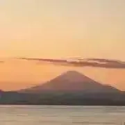 HAMAYU_の画像