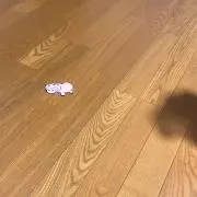 ぷくりんの画像
