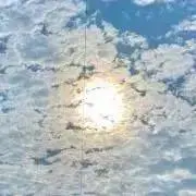 ろだんの画像