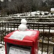 Kの画像