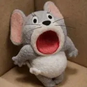 K.25の画像