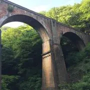 ロブの画像