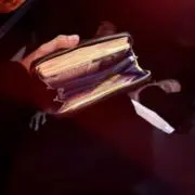reoの画像