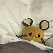 ネヲ・バッド・サーゲルの画像