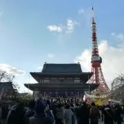 Chiroruの画像