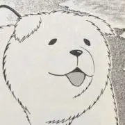 hikariの画像