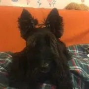 あかはる