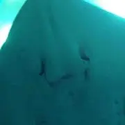 peyang♪の画像