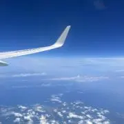 Mの画像