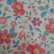 ちらん