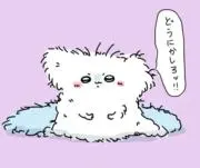 せいちゃん　値下げまとめ売り大歓迎⭕️の画像