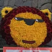 いちあやは