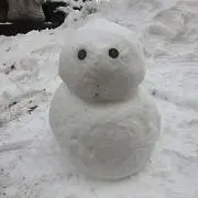 ドラの画像