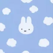 ひーちゃんの画像
