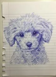 とろ 24時間以内発送