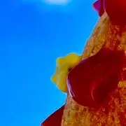 おきゃまたの画像