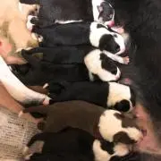 自然派農園ゆんぬ