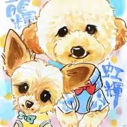 龍と虹の画像
