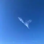 SENTの画像