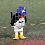 燕縁