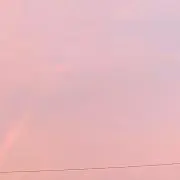 きこ