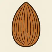 アーモンドの画像
