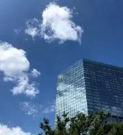 Joeの画像