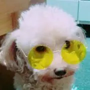 いまやんの画像