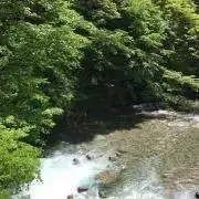 satoriaプロフご確認くださいの画像