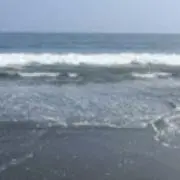 まぼぼの画像