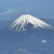 森林木の画像