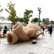 ゆかの画像