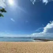 だー子の画像