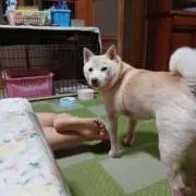 ゆちっちの画像