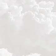 みやの画像