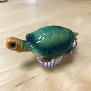 kamesanの画像