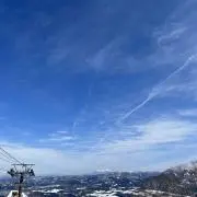 スイの画像