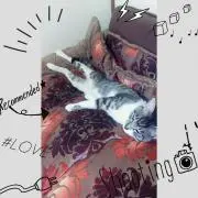 さくら