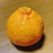 でこぽんの画像
