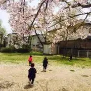 ぬま