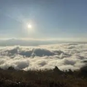 NGUYEN DAIの画像
